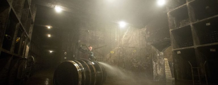 Wo Wein auf Herz trifft