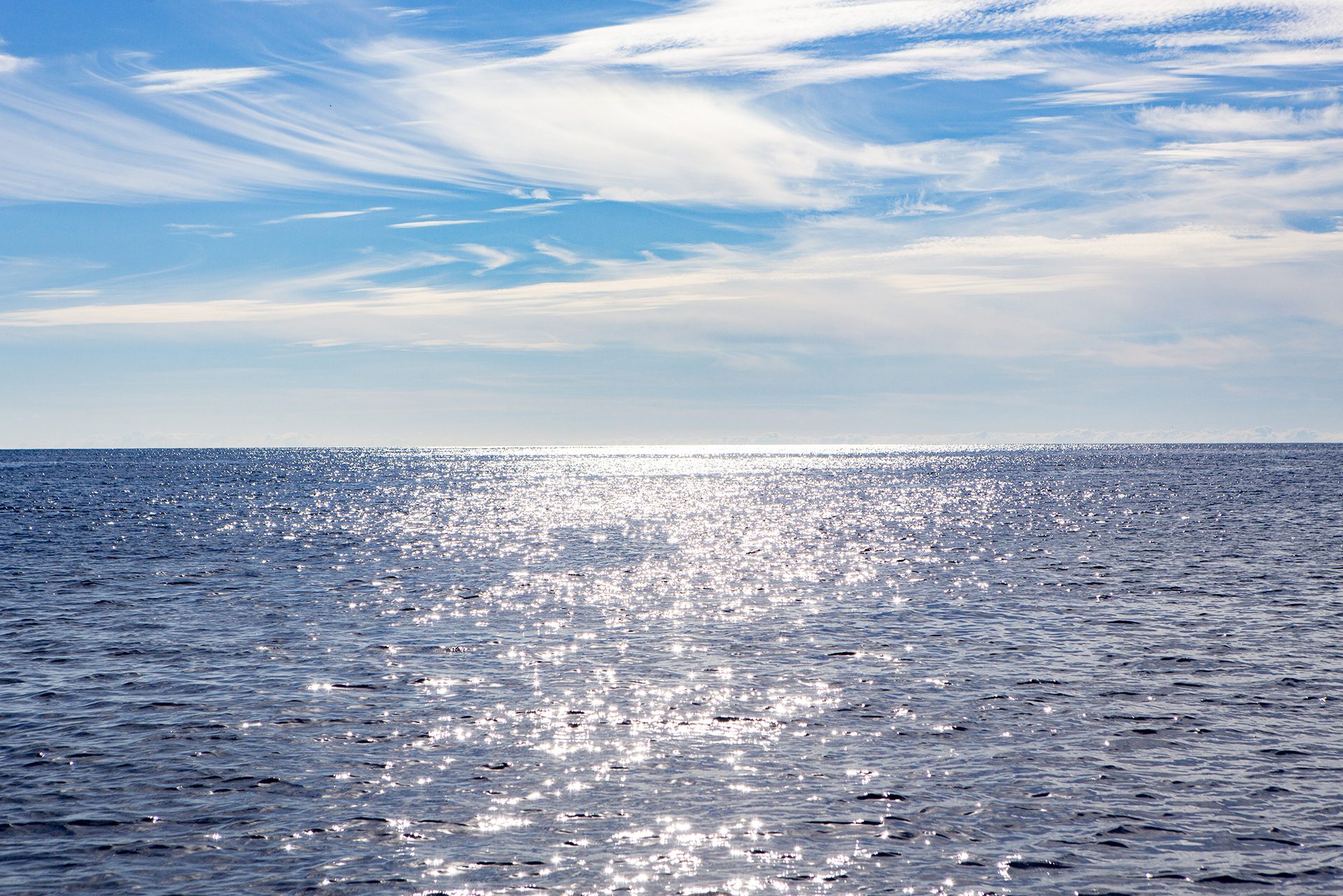 Stephan Horch Fotodesigner, Künstler, Speaker und dem Ozean verbunden