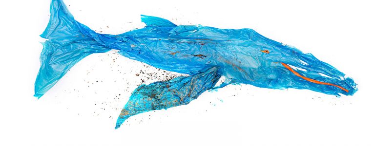 Für saubere Flüsse und Meere