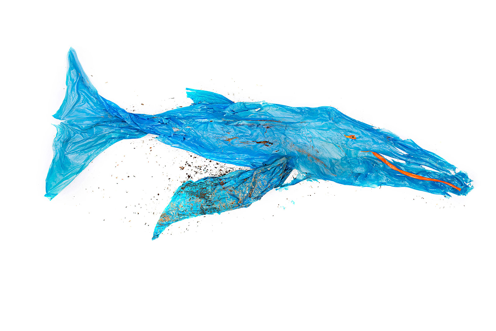 Stephan Horch Fotodesigner, Künstler, Speaker und dem Ozean verbunden