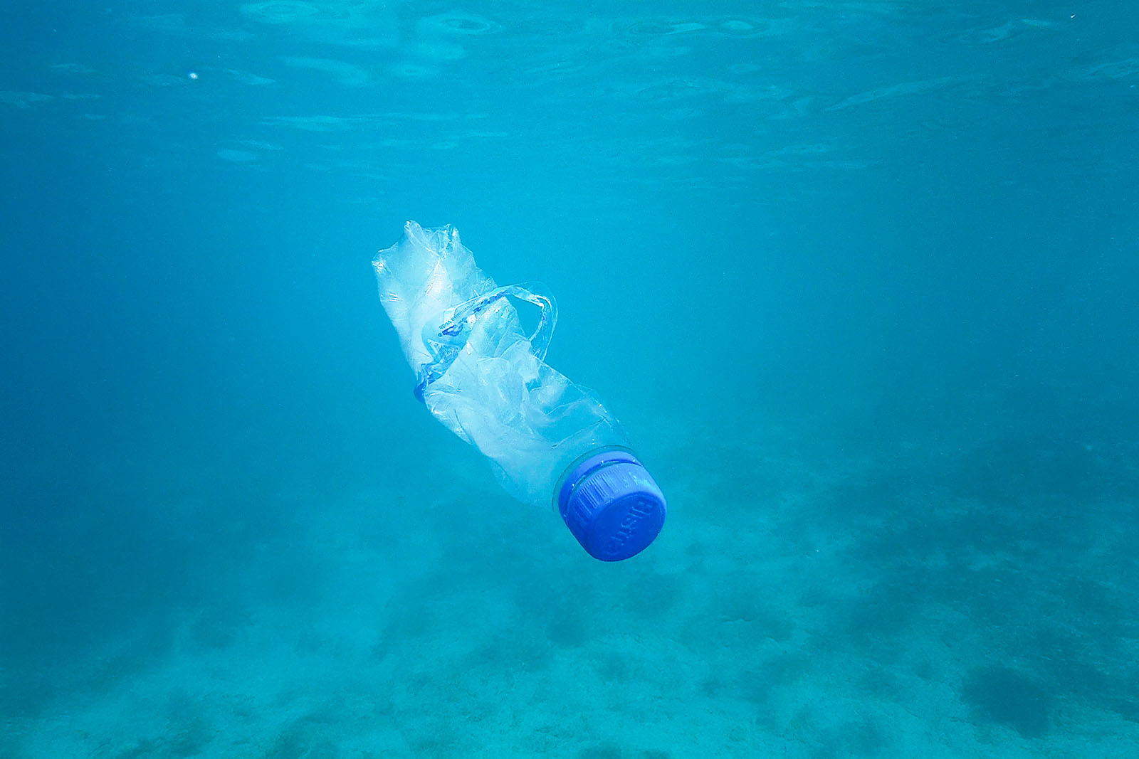 Stephan Horch Fotodesigner, Künstler, Speaker und dem Ozean verbunden