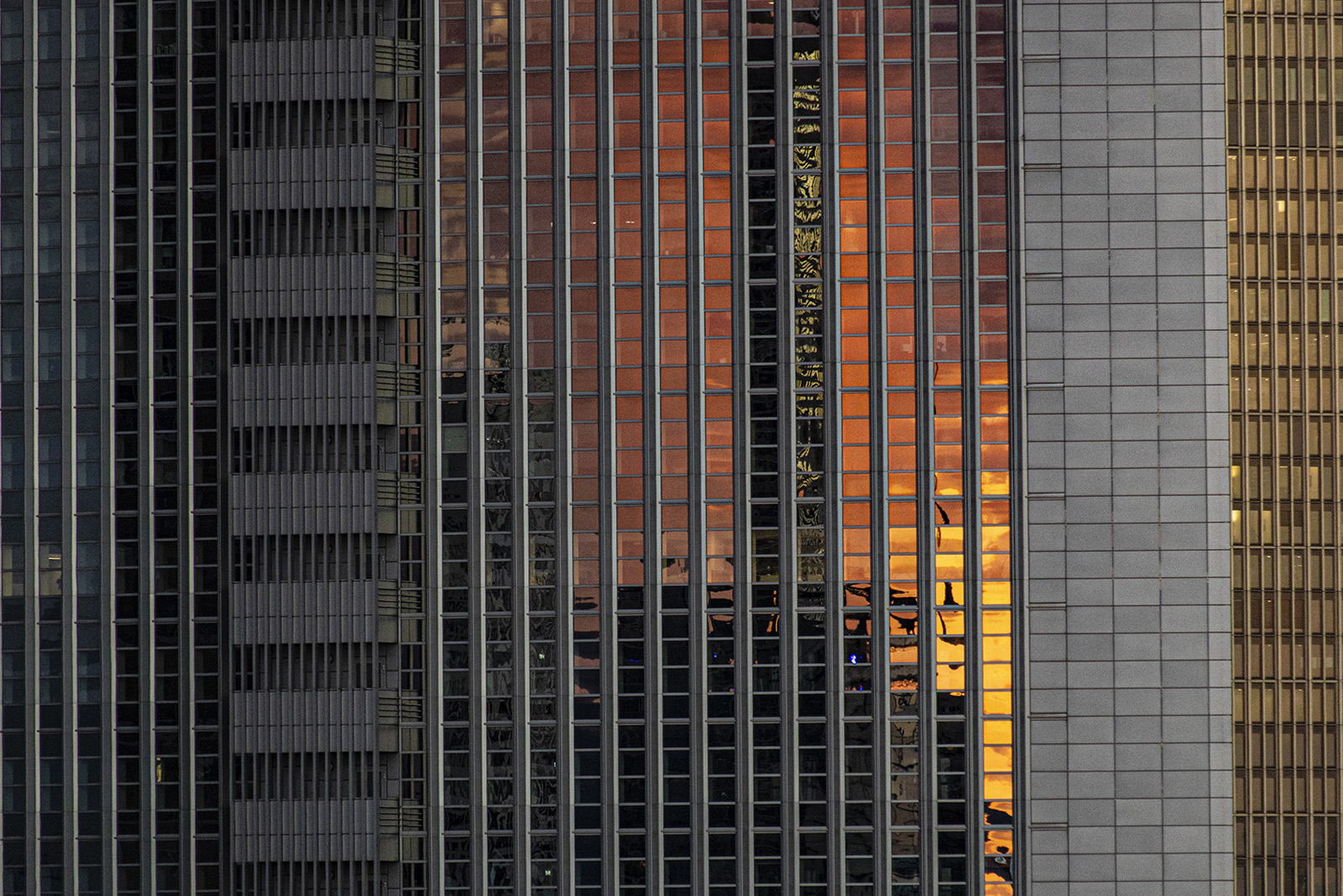 Warum Fotografieren mehr ist als Darstellung – ein persönlicher Blick von Stephan Horch
